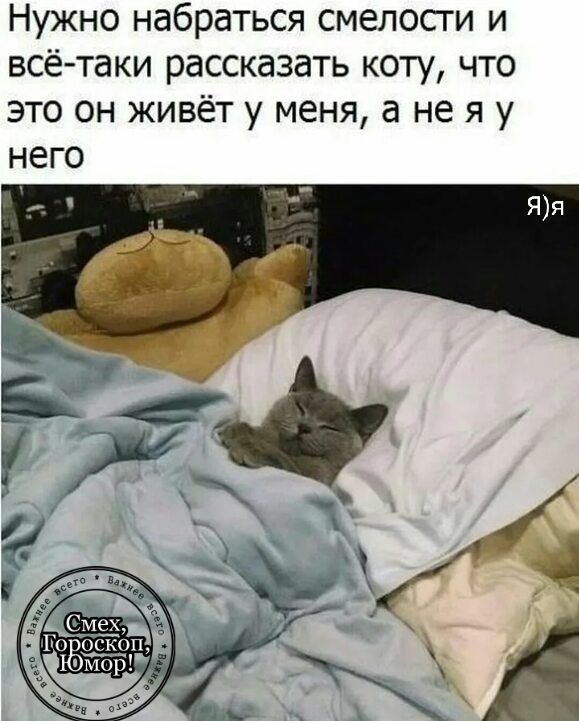 Нужно набраться смелости и всё таки рассказать коту что это он живёт у меня а нея у него