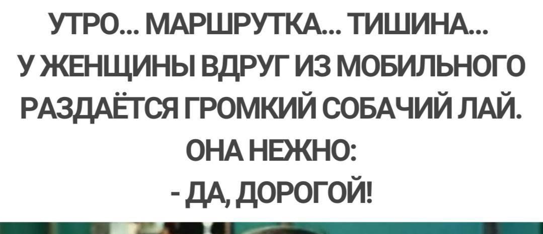 УТРО МАРШРУТКА ТИШИНА У ЖЕНЩИНЫ ВДРУГ ИЗ МОБИЛЬНОГО РАЗДАЁТСЯ ГРОМКИЙ СОБАЧИЙ ЛАЙ ОНА НЕЖНО ДА ДОРОГОЙ