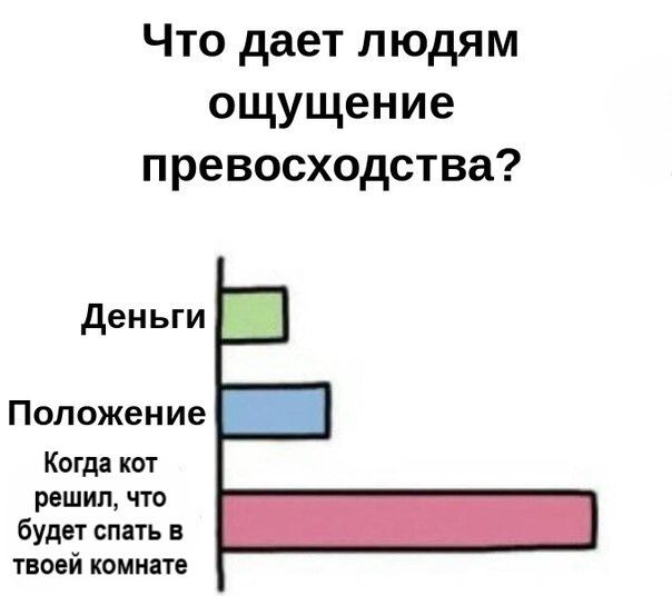 Что дает людям ощущение превосходства Деньги Положение Когда кот решил что будет спать в твоей комнате