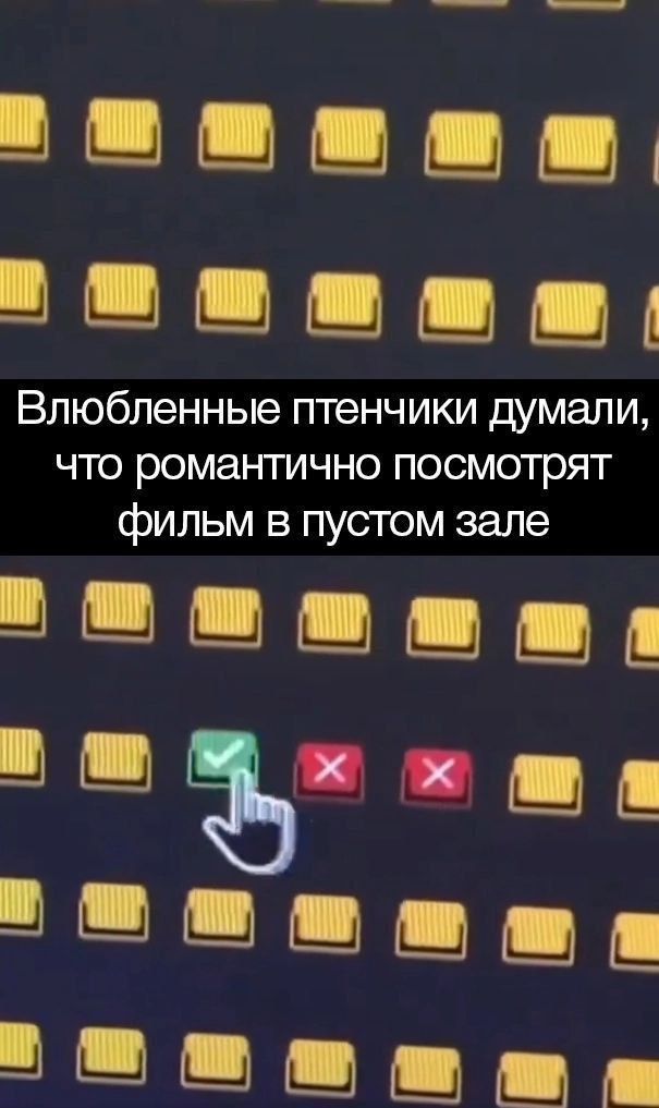 в от е в т оо Влюбленные птенчики думали что романтично посмотрят фильм в пустом зале В ш ша Пд К у П