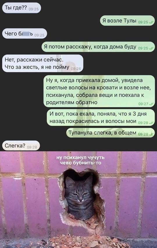 Ты где Я потом расскажу когда дома буду Нет расскажи сейчас Что за жесть я не пойму Нуя когда приехала домой увидела светлые волосы на кровати и возле нее психанула собрала вещи и поехала к родителям обратно И вот пока ехала поняла что я 3 дня назад покрасилась и волосы мои Тупанула слегкаув общем