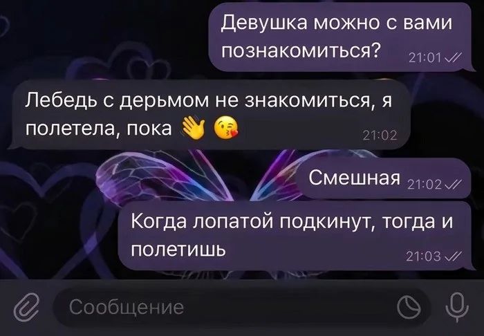 Девушка можно с вами познакомиться э1о1 Лебедь с дерьмом не знакомиться я полетела пока Когда лопатой подкинут тогда и полетишь о087