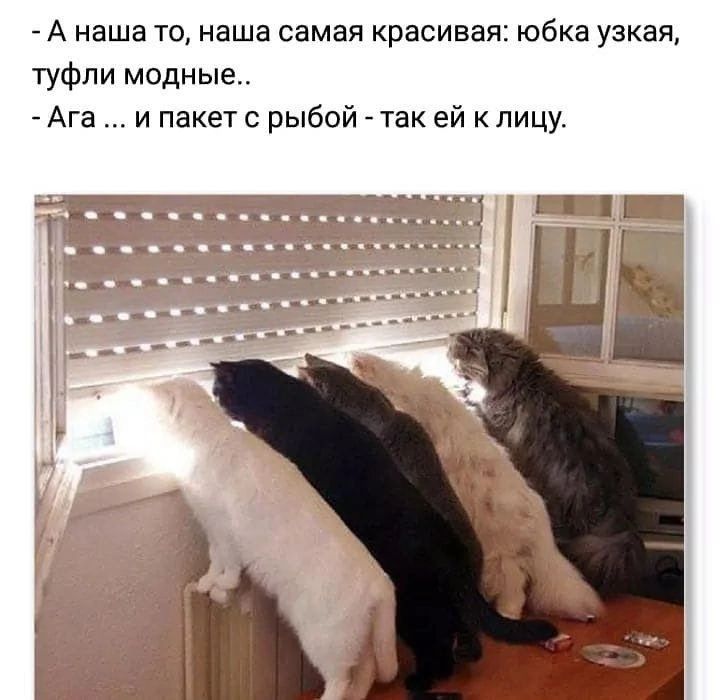 А наша то наша самая красивая юбка узкая туфли модные Ага и пакет с рыбой так ей к лицу ста н