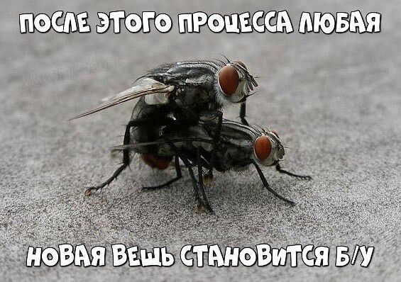 ПОСЛЕЭТОГОПРОЧЕССАТЛЮБАЯ