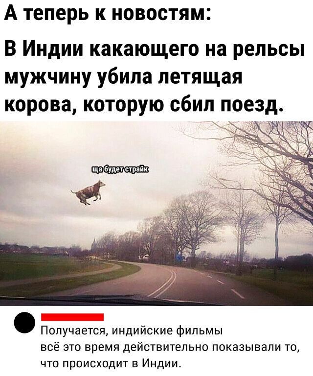 А теперь к новостям В Индии какающего на рельсы мужчину убила летящая корова которую сбил поезд Получается индийские фильмы всё это время действительно показывали то что происходит в Индии