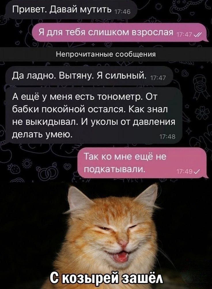 Привет Давай мутить 1746 Непрочитанные сообщения Да ладно Вытяну Я сильный 1747 Аещё у меня есть тонометр От бабки покойной остался Как знал не выкидывал И уколы от давления делать умею В 1748