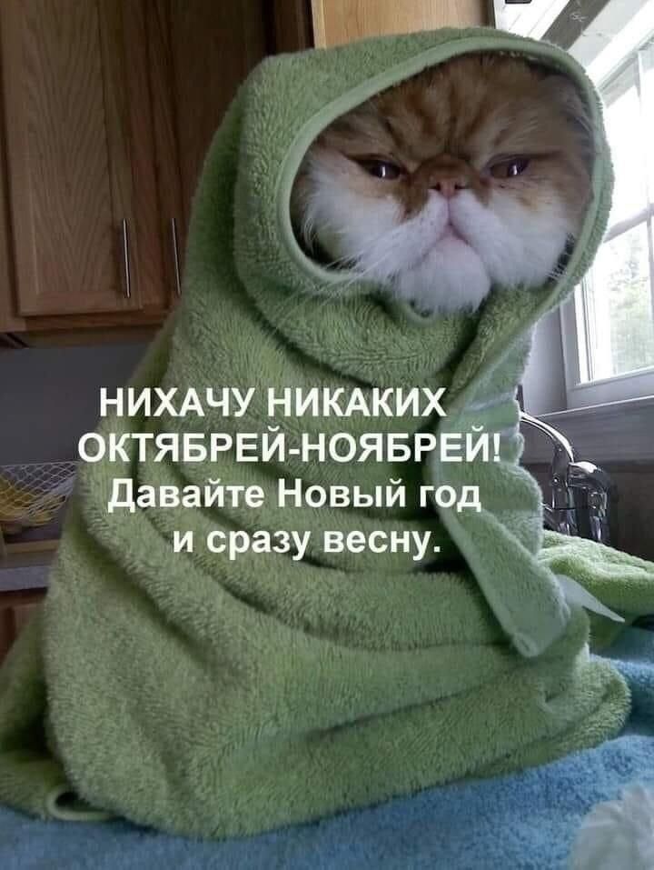 ы НИХАЧУ НИКАКИХ _ ОКТЯБРЕЙ НОЯБР и сразу весну