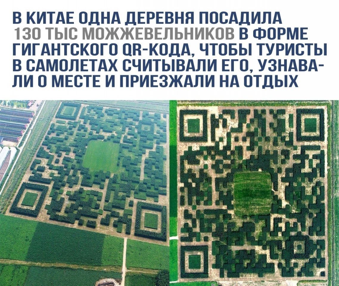 В КИТАЕ ОДНА ДЕРЕВНЯ ПОСАДИЛА 130 ТЫС МОЖЖЕВЕЛЬНИКОВ В ФОРМЕ ГИГАНТСКОГО ОВ КОДА ЧТОБЫ ТУРИСТЫ В САМОЛЕТАХ СЧИТЫВАЛИ ЕГО УЗНАВА ЛИОМЕСТЕ И ПРИЕЗЖАЛИ НА ОТДЫХ