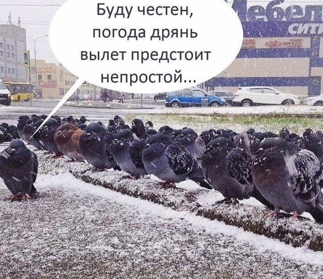 Буду честен погода дрянь вылет предстоит непростой аЗвр
