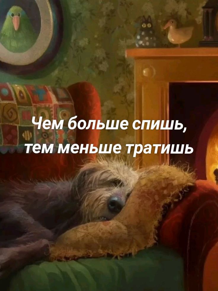 шіь ЦЕ
