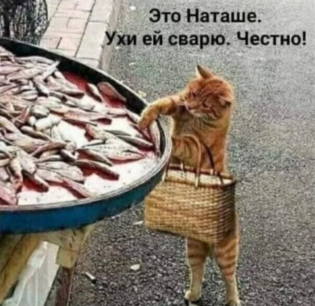 Это Наташе Ухи ей сварю Честно