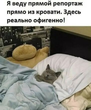 Я веду прямой репортаж прямо из кровати Здесь реально офигенно