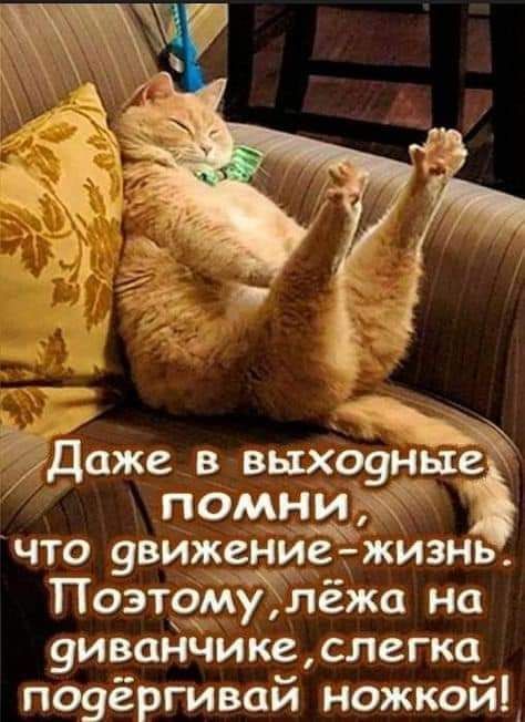 Доже в выходные помни что 9вижение жизнь Поэтомулёжа на диванчикеслегка подёргивай ножкой