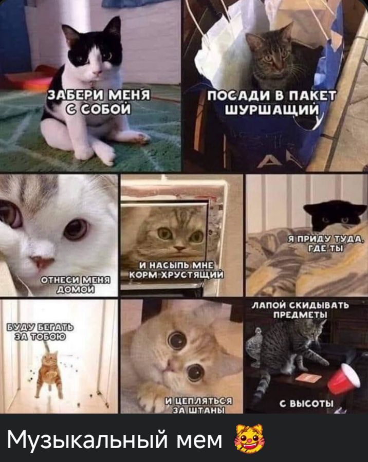посдди В ПАКЕТ шушдщиь оааа жсот пшпиы свысо 1 Музыкальный мем