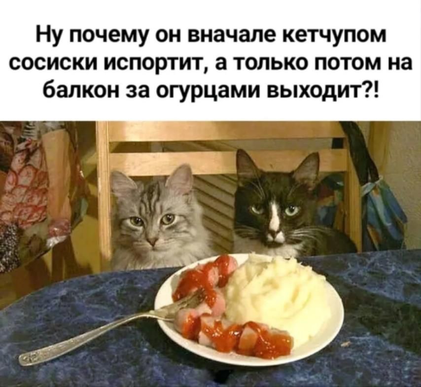 Ну почему он вначале кетчупом сосиски испортит а только потом на балкон за огурцами выходит