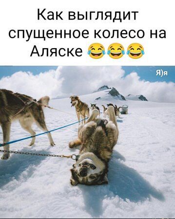 Как выглядит спущенное колесо на Аляске ЯЯ Е Фч