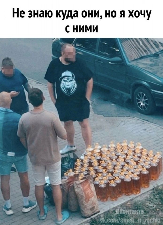 Не знаю куда они но я хочу