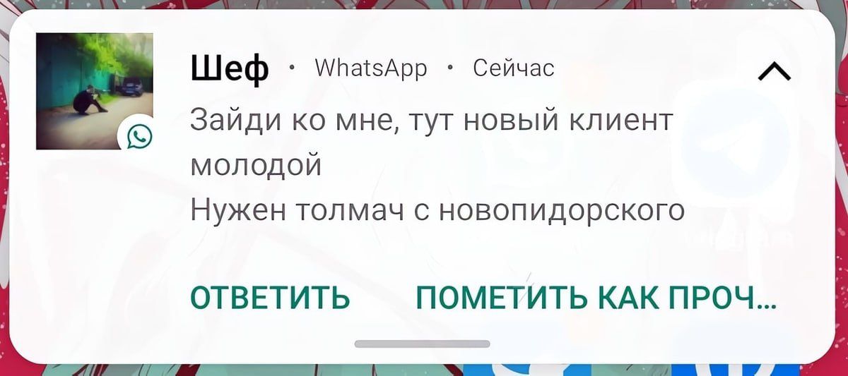 молодой Нужен толмач с новопидорского ОТВЕТИТЬ ПОМЕТИТЬ КАК ПРОЧ щ Шеф анзАрр Сейчас Зайди ко мне тут новый клиент