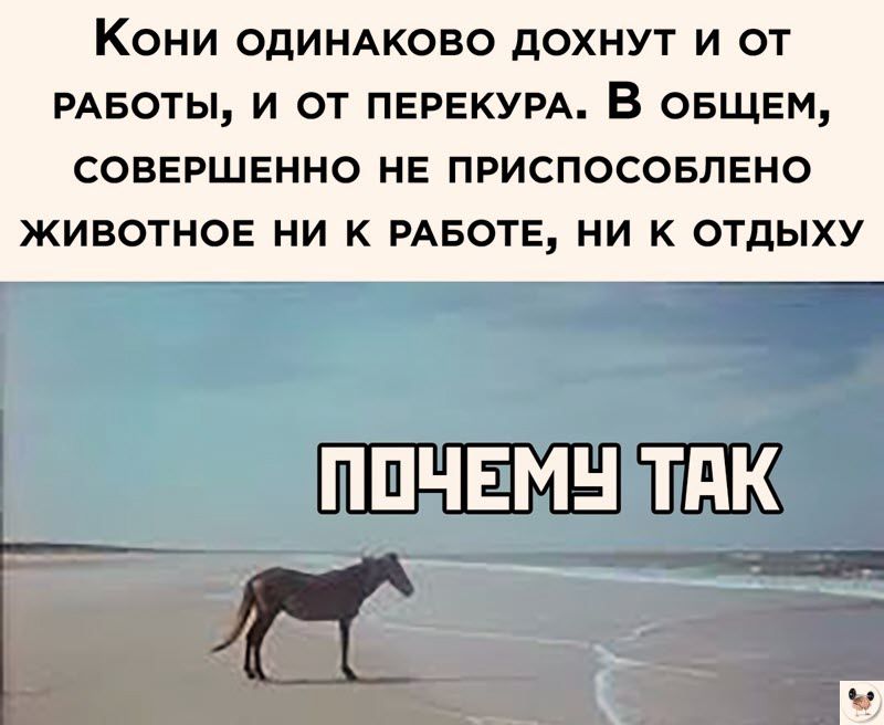 Кони ОДИНАКОВО ДОХНУТ И ОТ РАБОТЫ И ОТ ПЕРЕКУРА В ОБЩЕМ СОВЕРШЕННО НЕ ПРИСПОСОБЛЕНО ЖИВОТНОЕ НИ К РАБОТЕ НИ К ОТДЫХУ ПОЧЕМУДТАК