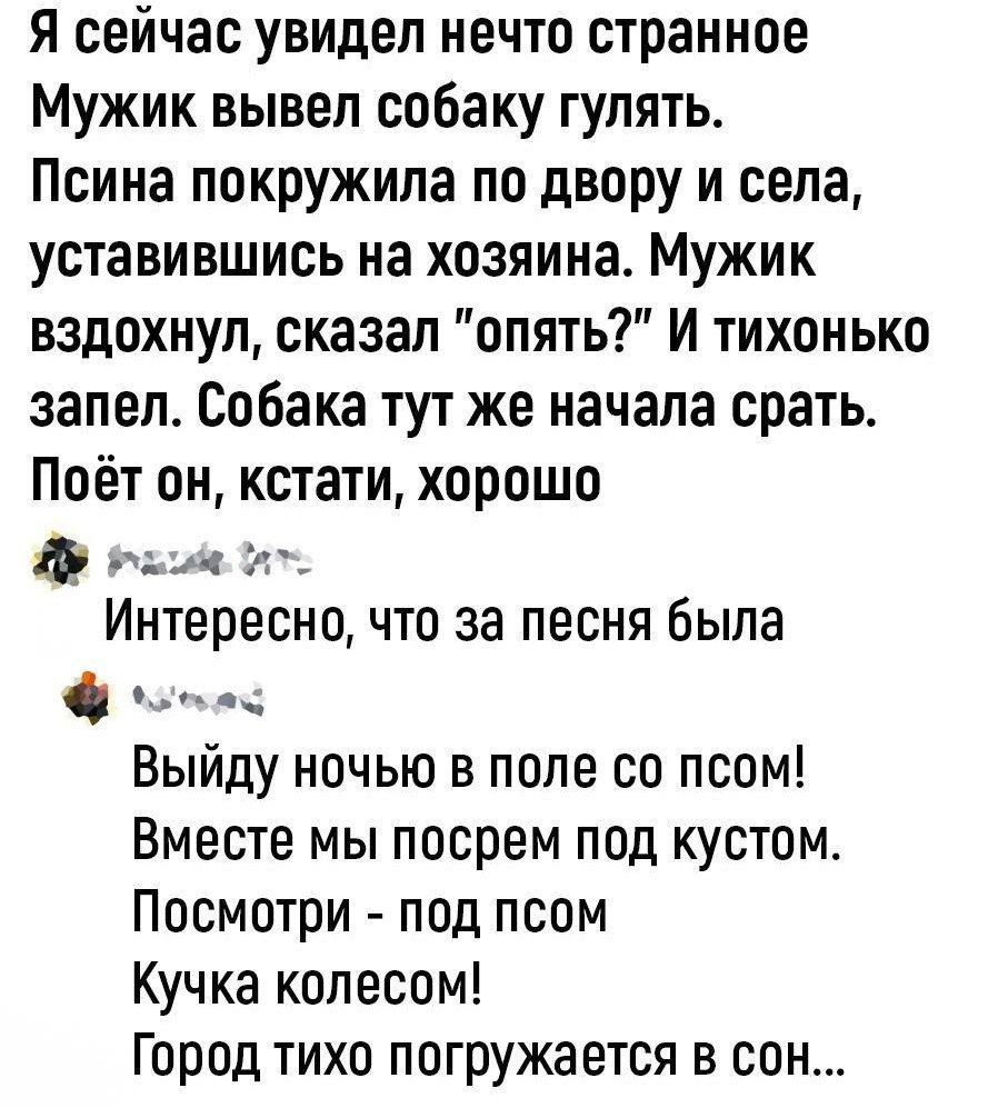 Я сейчас увидел нечто странное Мужик вывел собаку гулять Псина покружила по двору и села уставившись на хозяина Мужик вздохнул сказал опять И тихонько запел Собака тут же начала срать Поёт он кстати хорошо паом и Интересно что за песня была ф етоос Выйду ночью в поле со псом Вместе мы посрем под кустом Посмотри под псом Кучка колесом Город тихо погружается в сон