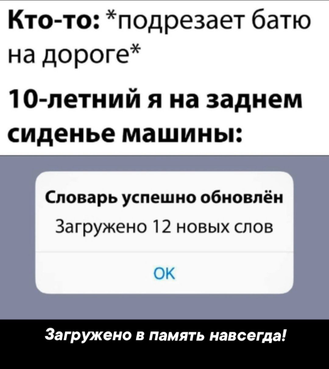 Кто то подрезает батю на дороге 10 летний я на заднем сиденье машины Словарь успешно обновлён Загружено 12 новых слов Загружено в память навсегда