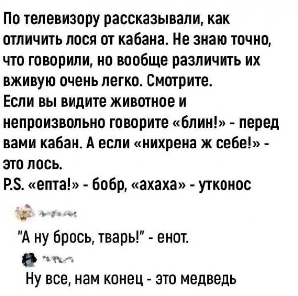 По телевизору рассказывали как отличить лося от кабана Не знаю точно что говорили но вообще различить их вживую очень легко Смотрите Если вы видите животное и непроизвольно говорите блин перед вами кабан А если нихрена ж себе это лось Р5 епта бобр ахаха утконос 2 эеуьлы А ну брось тварьы енот Ну все нам конец это медведь