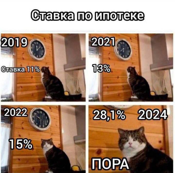 тавк полиполеке птш