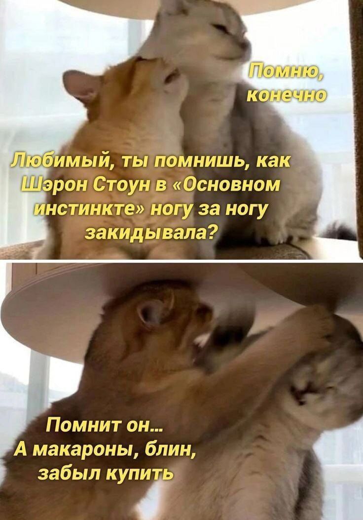 овНо А макароны блин 1л КкУПИТ