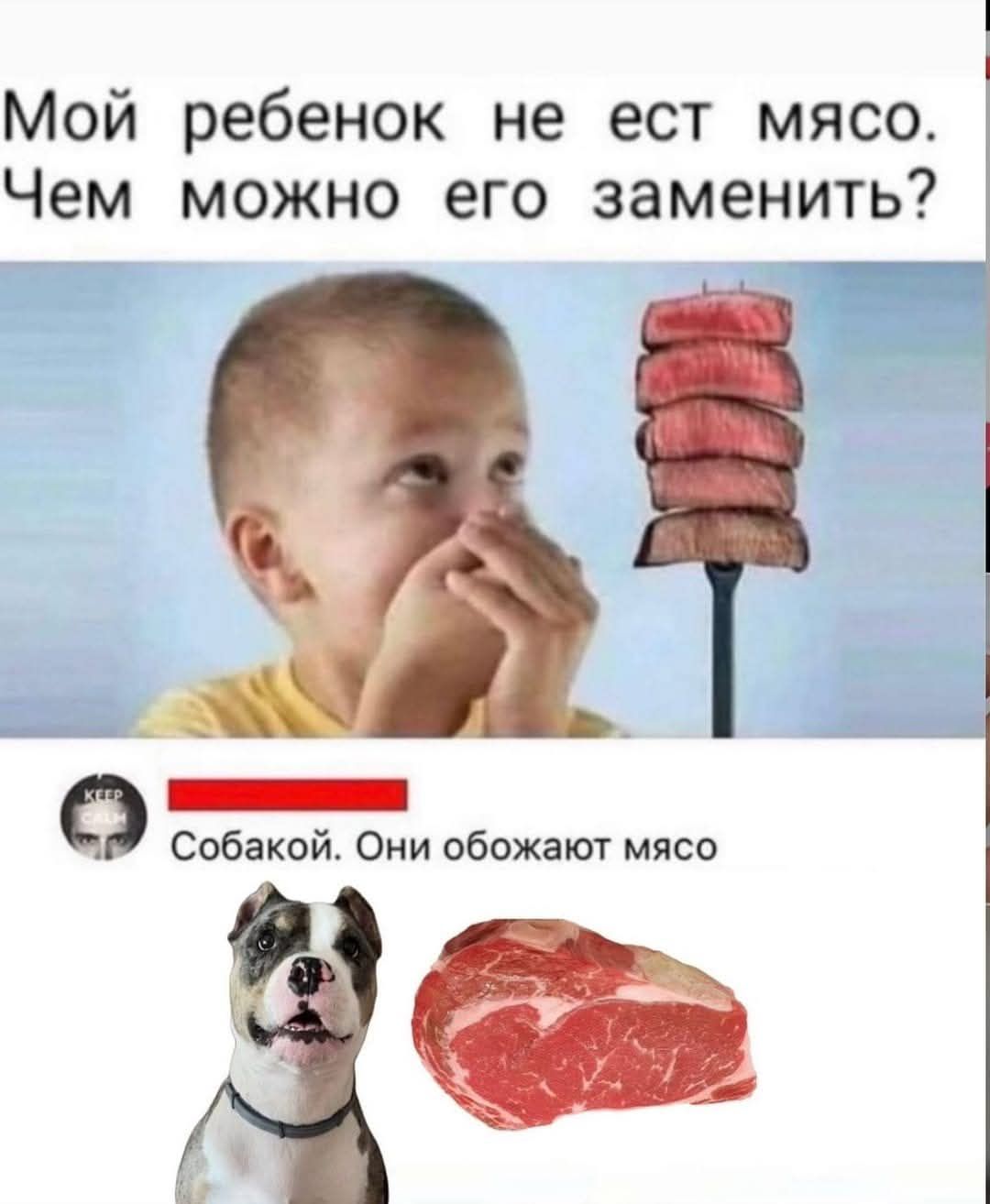 Мой ребенок не ест мясо Чем можно его заменить 97 1Р Собакой Они обожают мясо К