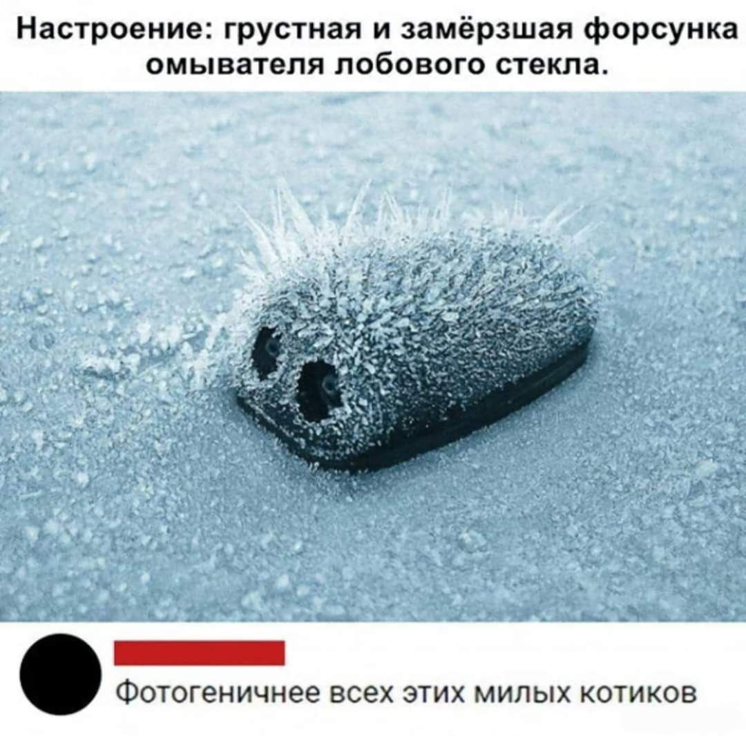 Настроение грустная и замёрзшая форсунка омывателя лобового стекла ннНЕ Фотогеничнее всех этих милых котиков