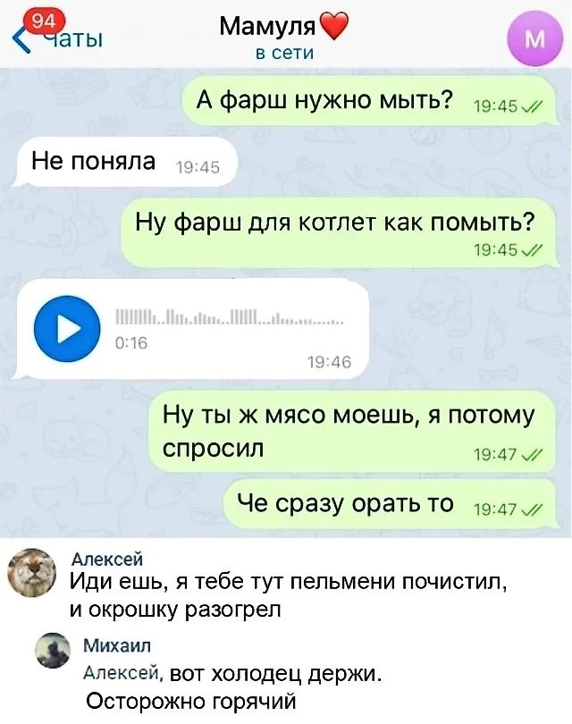 ты Мамуля о в сети А фарш нужно мыть 1945 Не поняла 4 Ну фарш для котлет как помыть 1945 Ну ты ж мясо моешь я потому спросил 1947 Че сразу орать то _ 1947 7 Алексей Иди ешь я тебе тут пельмени почистил и окрошку разогрел 3 Михаил Алексей вот холодец держи ФОсторожно горячий
