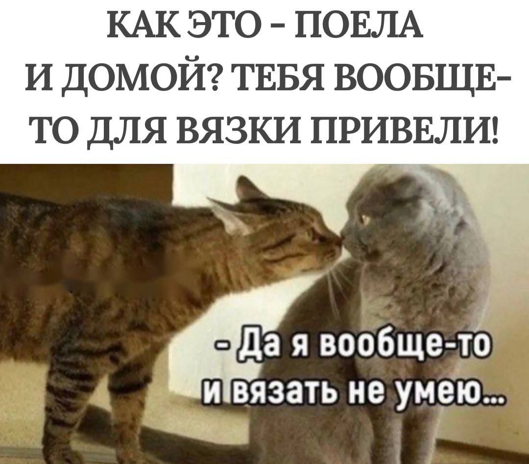 КАК ЭТО ПОЕЛА И ДОМОЙ ТЕБЯ ВООБЩЕ ТО ДЛЯ ВЯЗКИ ПРИВЕЛИ ё вообще то ивязать не умею УУбде о