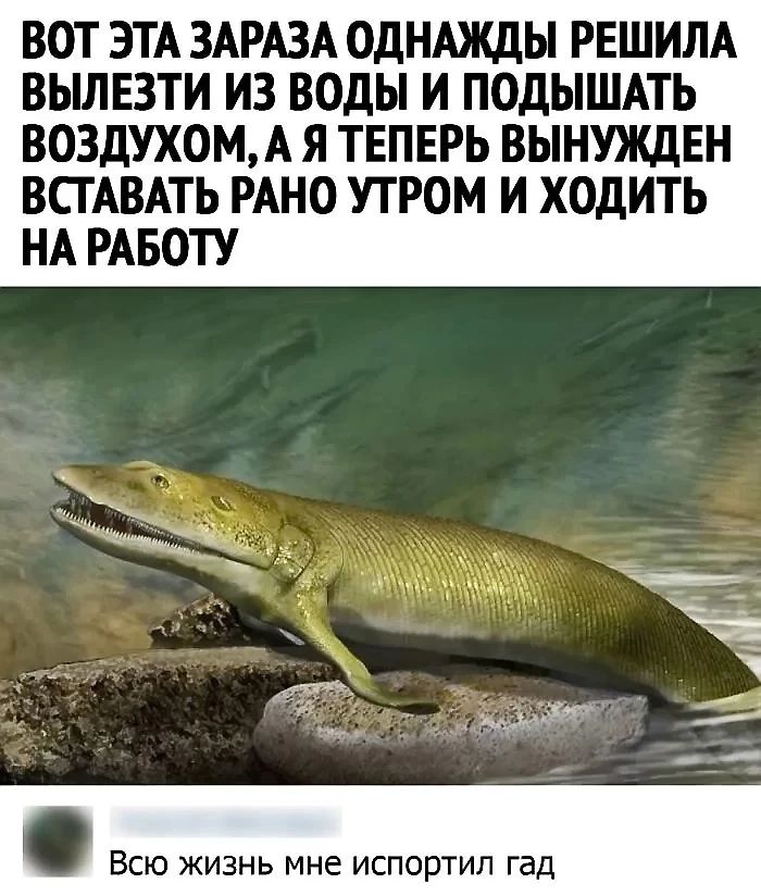 ВОТ ЭТА ЗАРАЗА ОДНАЖДЫ РЕШИЛА ВЫЛЕЗТИ ИЗ ВОДЫ И ПОДЫШАТЬ ВОЗДУХОМ А Я ТЕПЕРЬ ВЫНУЖДЕН ВСТАВАТЬ РАНО УТРОМ И ХОДИТЬ НА РАБОТУ Всю жизнь мне испортил гад