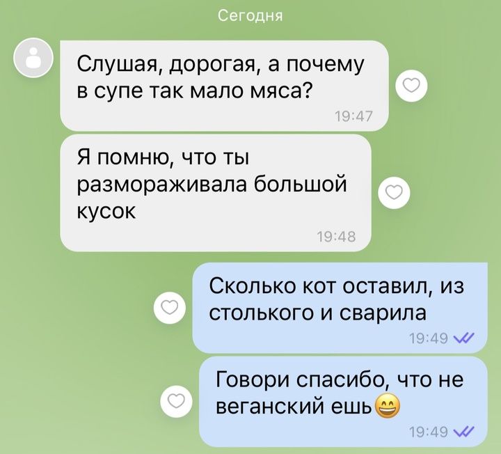 Слушая дорогая а почему в супе так мало мяса Я помню что ты размораживала большой кусок Сколько кот оставил из столького и сварила м Говори спасибо что не веганский ешь 22 м