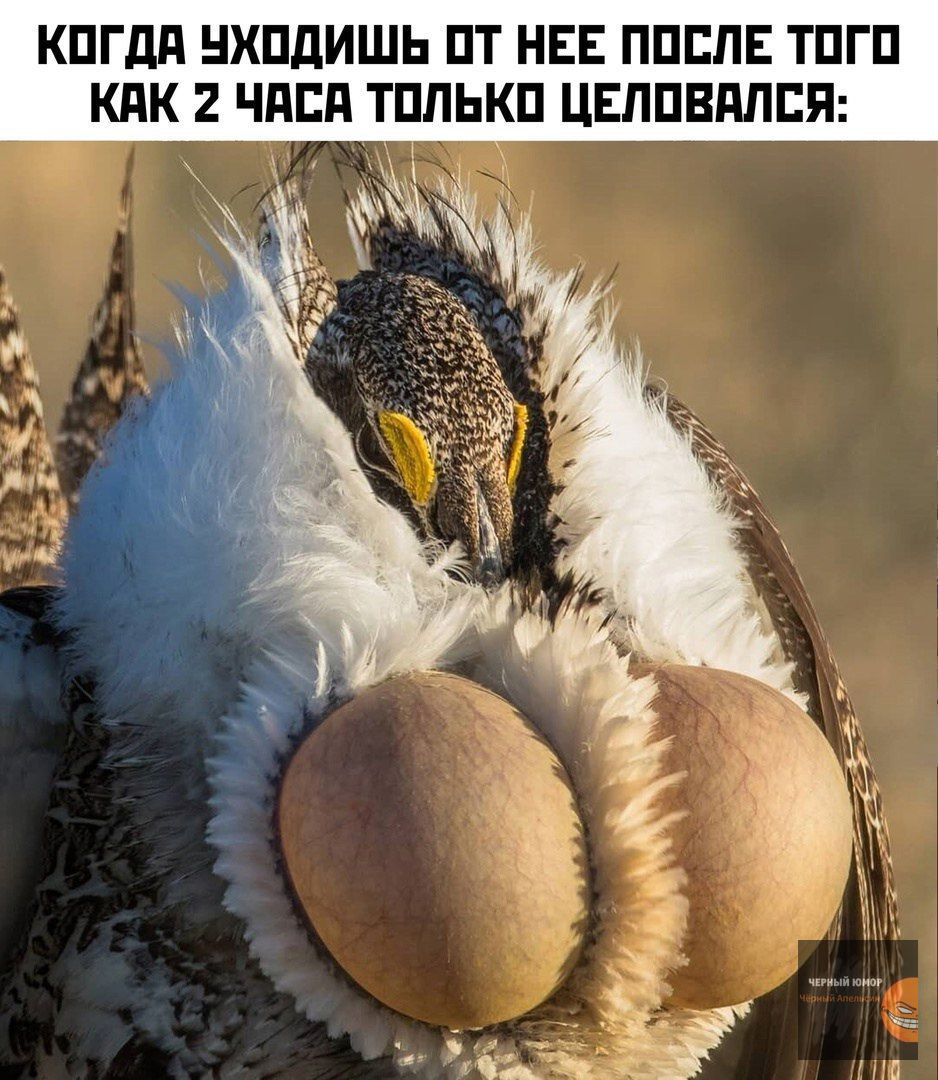 КОГДА УХОДИШЬ ОТ НЕЕ ПОСЛЕ ТОГО КАК 2 ЧАСЯ ТОЛЬКО ЦЕЛОВАЛСЯ