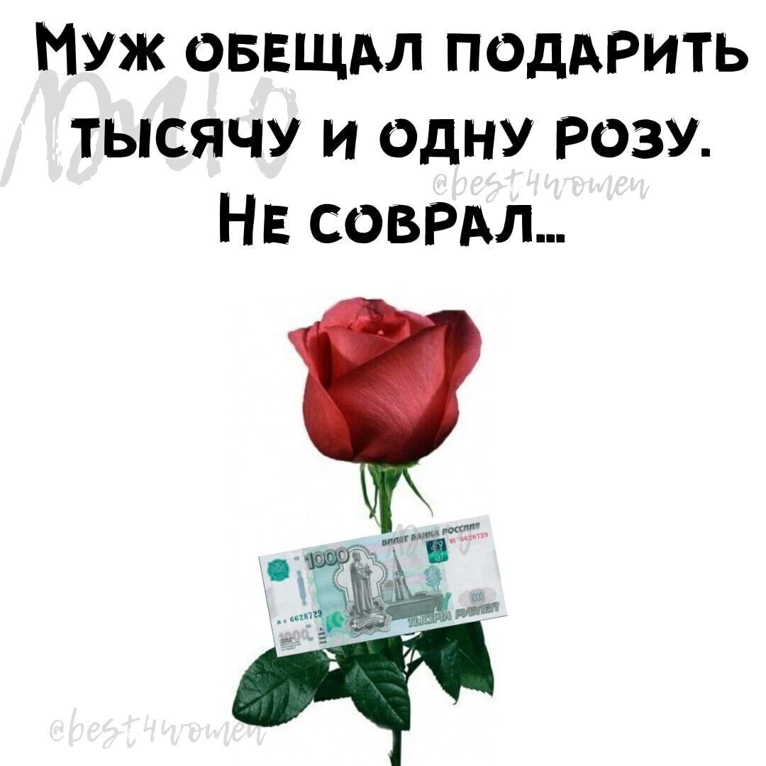 МУЖ ОБЕЩАЛ ПОДАРИТЬ ТЫСЯЧУ И ОДНУ РОЗУ НЕ СОВРАЛ