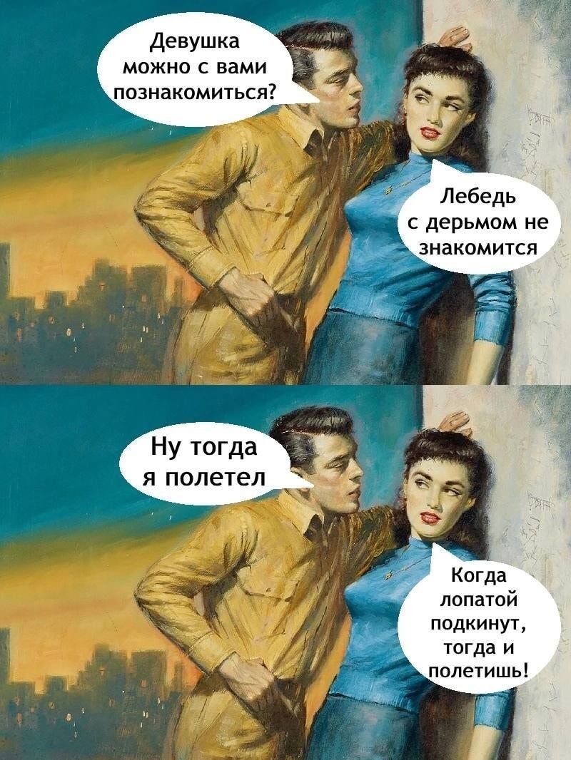 Девушка можно с вами познакомиться Лебедь с дерьмом не Ну тогда я полетел Когда лопатой подкинут тогда и ъполетишь