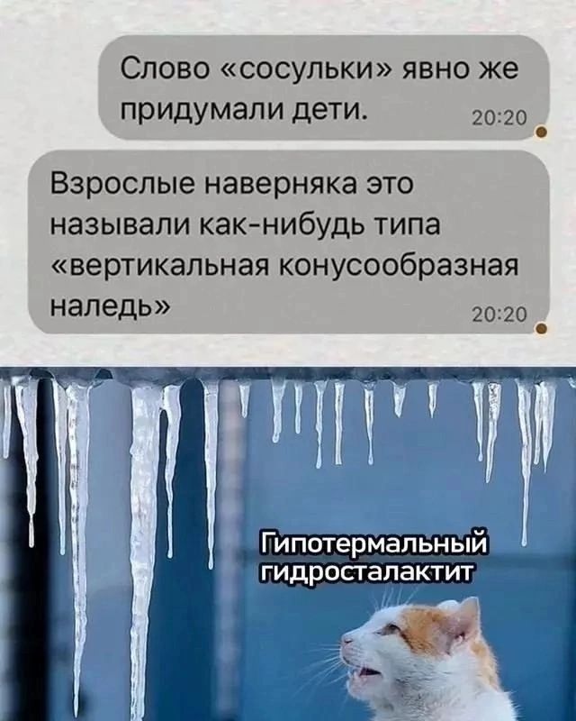 Слово сосульки явно же придумали дети 2020 в Взрослые наверняка это называли как нибудь типа вертикальная конусообразная наледь 2020 Гипотермальный гидросталактит ы