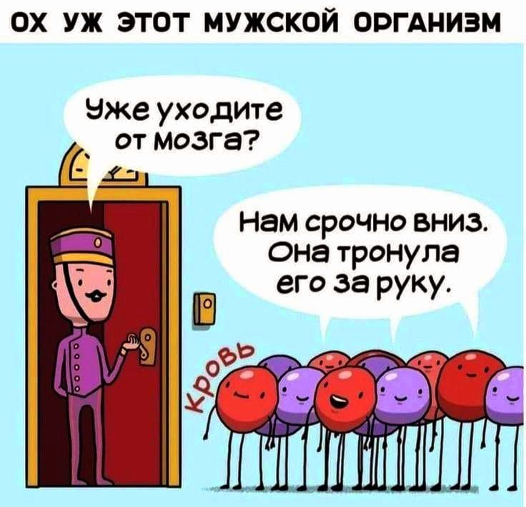 ОХ УЖ ЭТОТ МУЖСКОЙ ОРГАНИЗМ Уже уходите от мозга С г Нам срочно вниЗ на тронула его за руку 1 ишшмшш