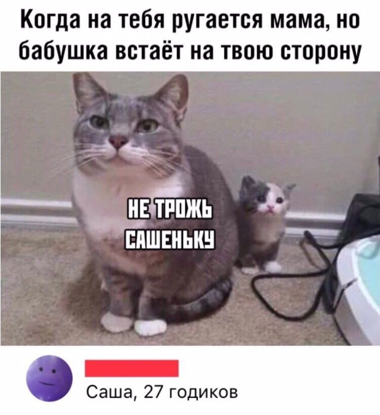 Когда на тебя ругается мама но бабушка встаёт на твою сторону НЕЗТРОЖЬ ь_ САШЕНЬКУ Ак Саша 27 годиков