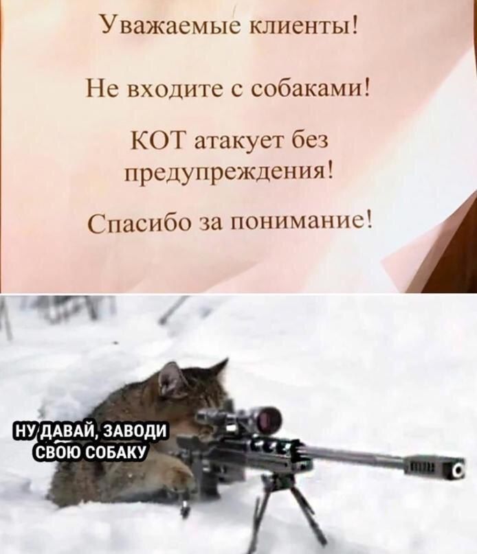 Уважаемые клиенты Не входите с собаками КОТ атакует без предупреждения Спасибо за понимание НУДАВАЙ ЗАВОДИ