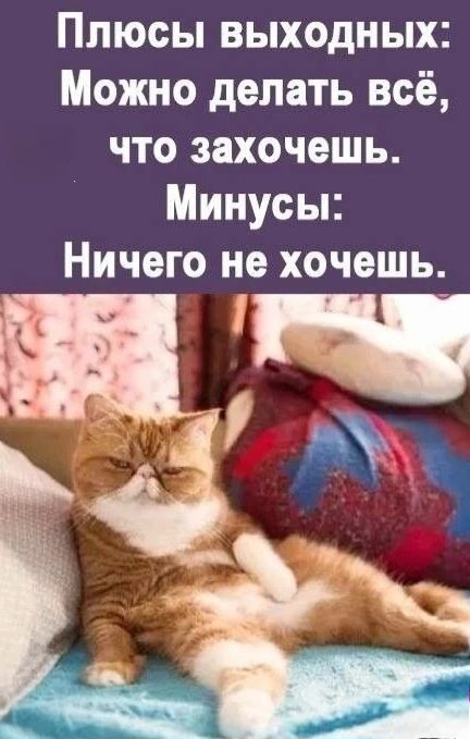 Плюсы выходных Можно делать всё что захочешь Минусы Ничего не хочешь Ва ь