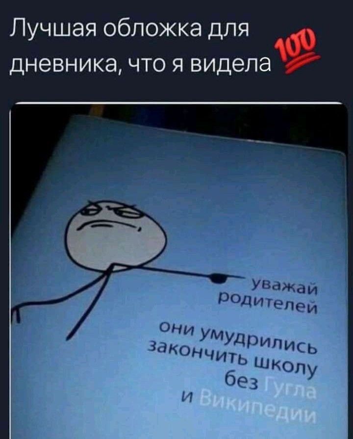 Лучшая обложка для дневника что я видела