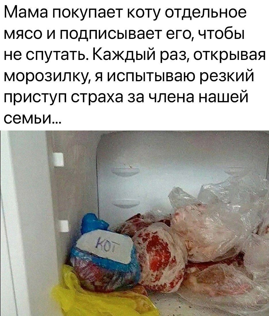 Мама покупает коту отдельное мясо и подписывает его чтобы не спутать Каждый раз открывая морозилку я испытываю резкий приступ страха за члена нашей семьи