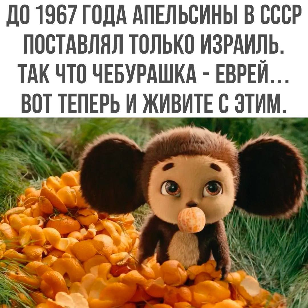 ДО 1967 ГОДА АПЕЛЬСИНЫ В СССР ПОСТАВЛЯЛ ТОЛЬКО ИЗРАИЛЬ ТАК ЧТО ЧЕБУРАШКА ЕВРЕЙ ВОТ ТЕПЕРЬ И ЖИВИТЕ С ЭТИМ ы ъ_ э уу юя
