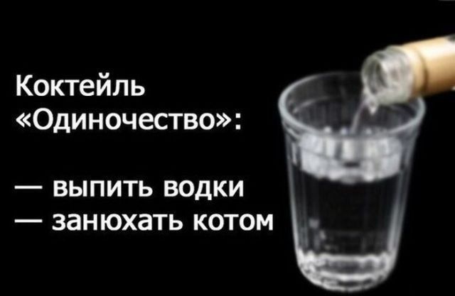 Коктейль Одиночество вЫыПпить водКИ занюхать котом