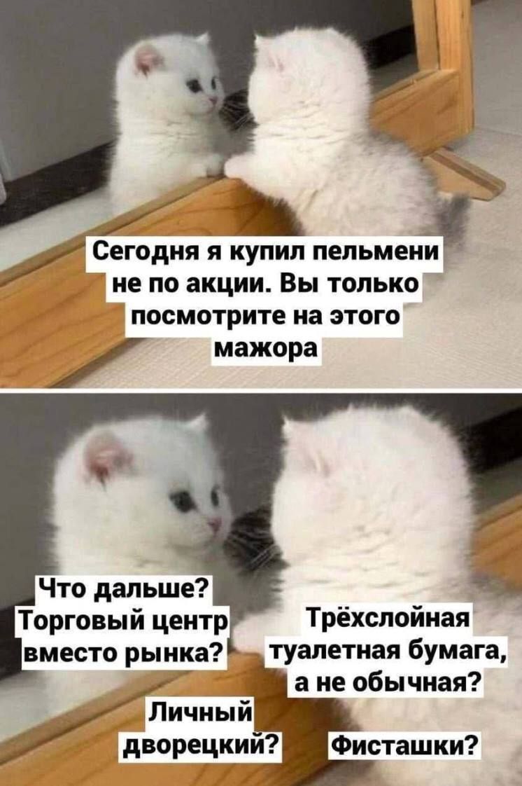 дия і купил пельмени не по акции Вы только посмотрите на этого мажора ы Трёхслойная туалетная бумага а не обычная Фисташки