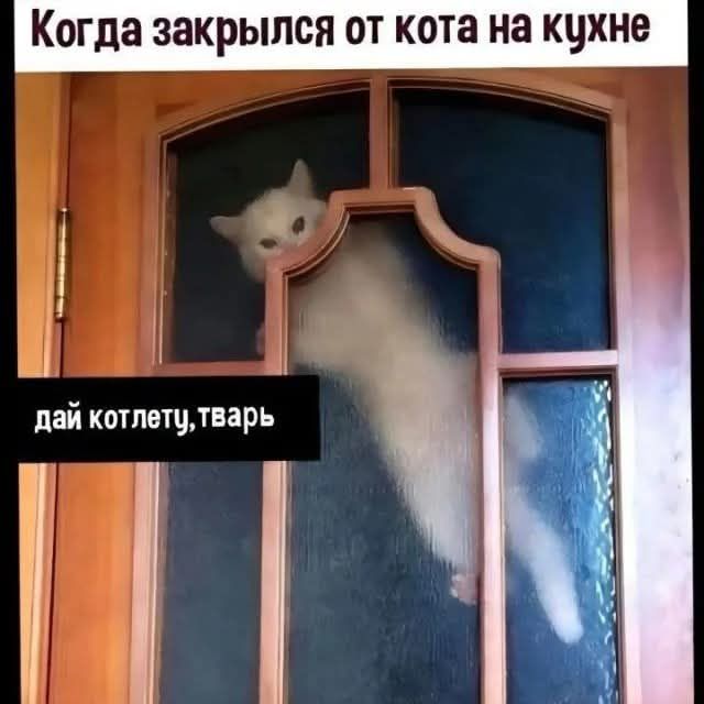 Когда закрылся от кота на кухне дай котлетутварь Ы
