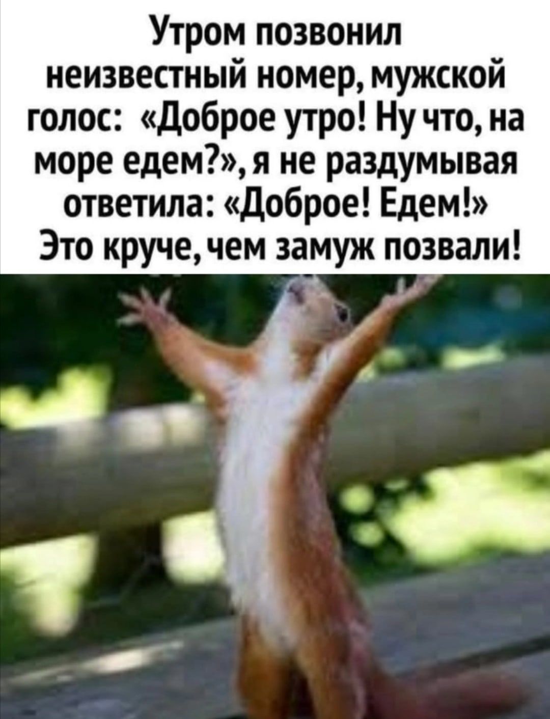 Утром позвонил неизвестный номер мужской голос Доброе утро Ну что на море едем я не раздумывая ответила Доброе Едем Это круче чем замуж позвали ЕЗ йт Т