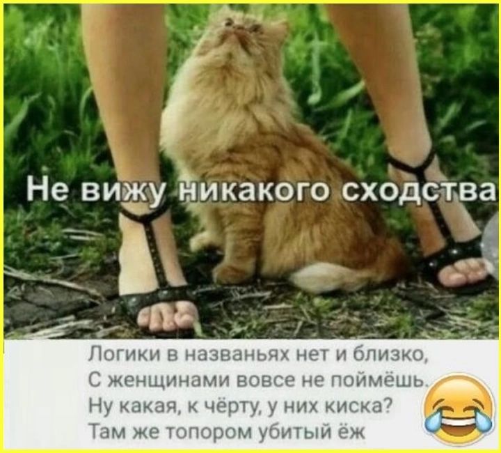 Т Не вижу Чикакого сходства Ъ ЧЕ В и 3 ле ТЯ эГИКИ